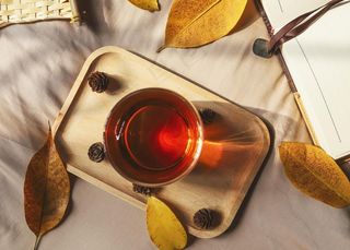 红茶养生茶饮背景海报素材图片