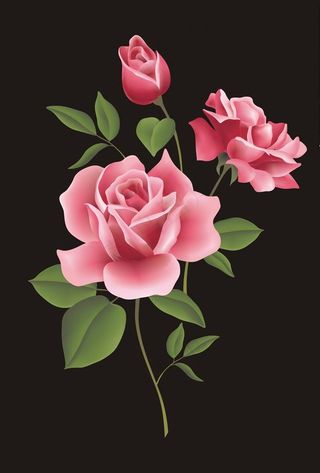 玫瑰花矢量图下载图片