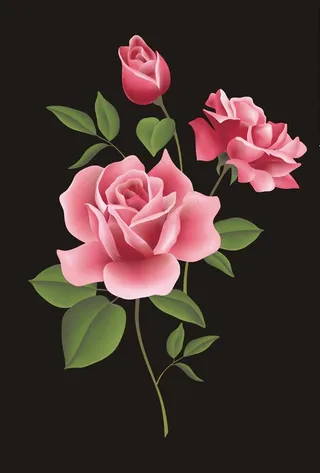 玫瑰花矢量图下载图片