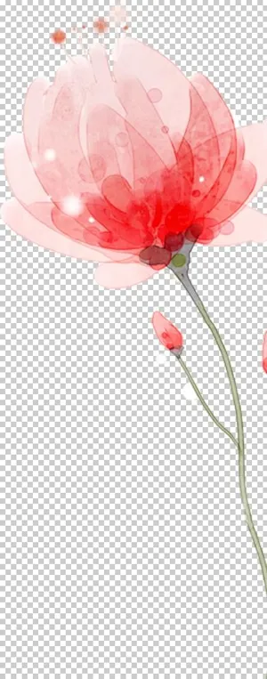 渲染花免抠元素图片