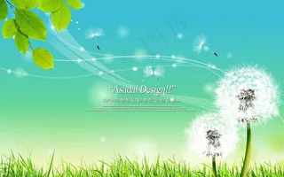 春天清新蒲公英图片