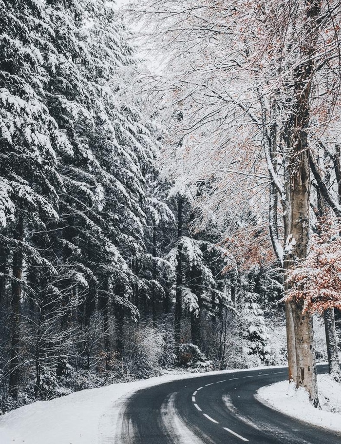 雪路图片
