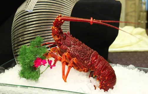 澳洲龙虾图片 澳洲龙虾图片
