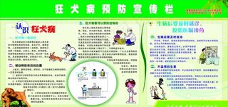 狂犬病宣传专栏图片