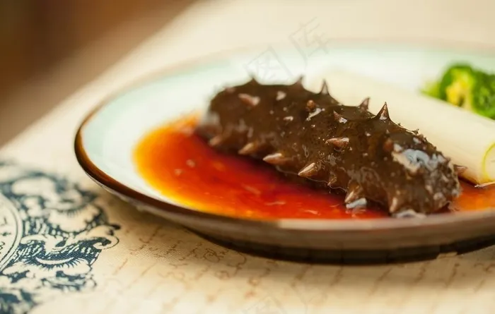 活海参图片