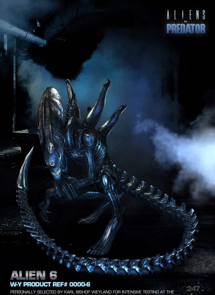 电影 异形大战铁血战士图片