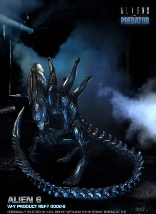 电影 异形大战铁血战士图片