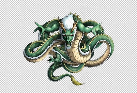 龙图片