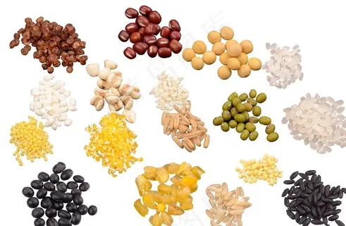 杂粮 矢量图图片