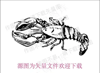 矢量龙虾线描图片