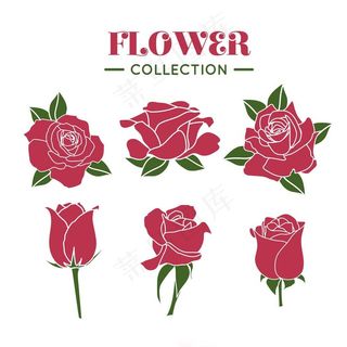 矢量玫瑰蔷薇图片