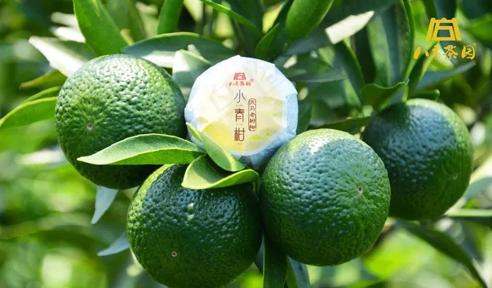 小青柑图片