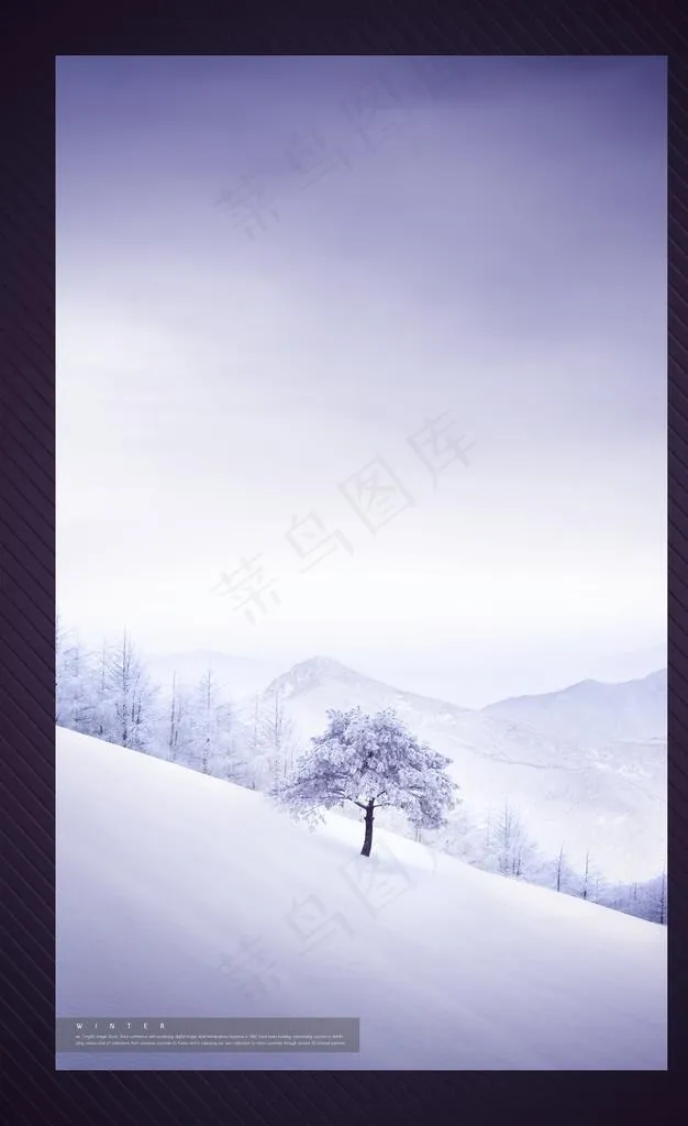 雪图片(3842X5983(DPI:300))psd模版下载