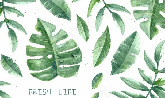 森系植物绿叶背景图片