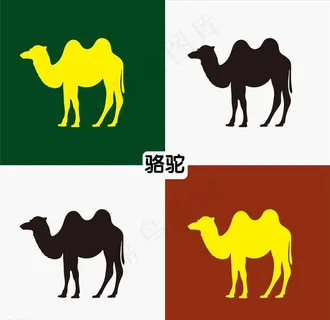 骆驼图片