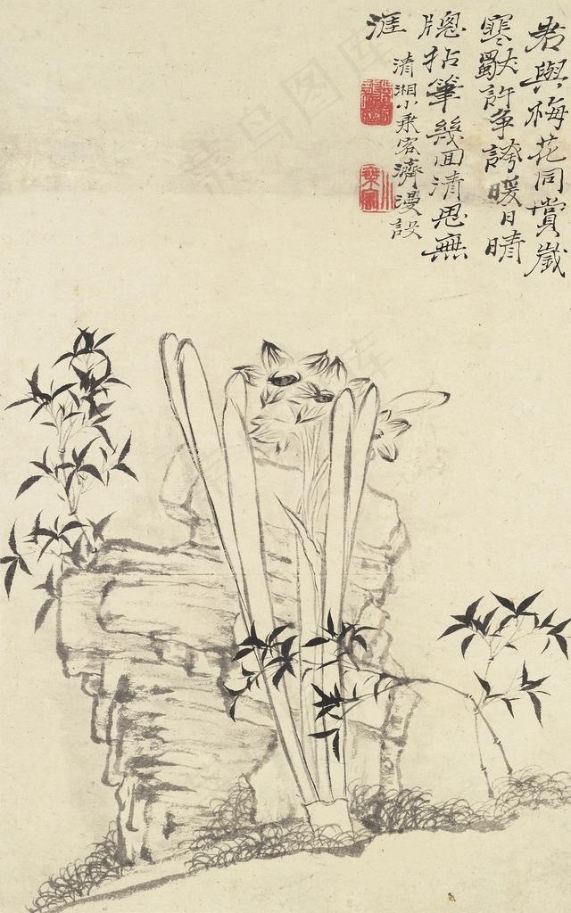 植物花鸟国画字画图片