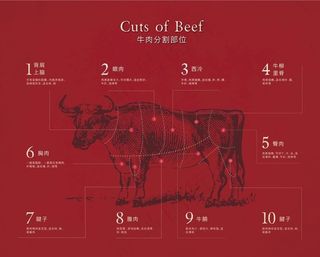 牛肉分割图图片