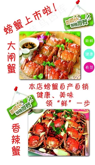 螃蟹上市啦图片