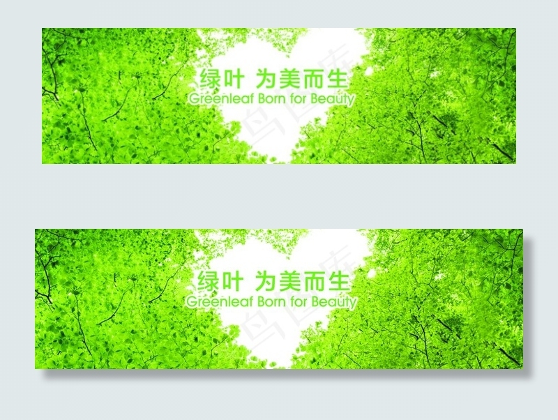 绿叶 为美而生图片(12992X4134(DPI:300))psd模版下载