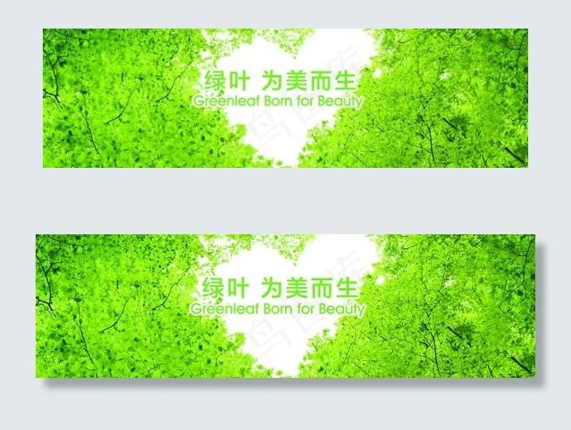 绿叶 为美而生图片(12992X4134(DPI:300))psd模版下载