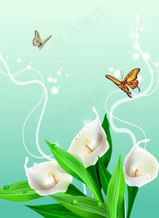 百合蝴蝶图图片