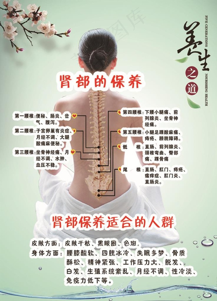 肾部的保养图片