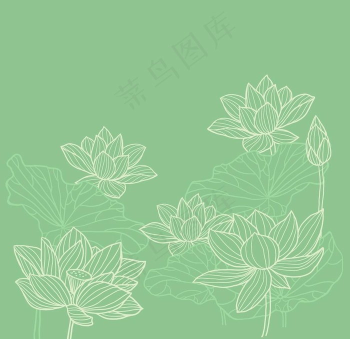 矢量荷花图片