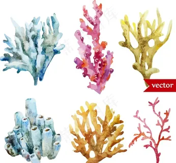 海鲜水彩插画图案图片