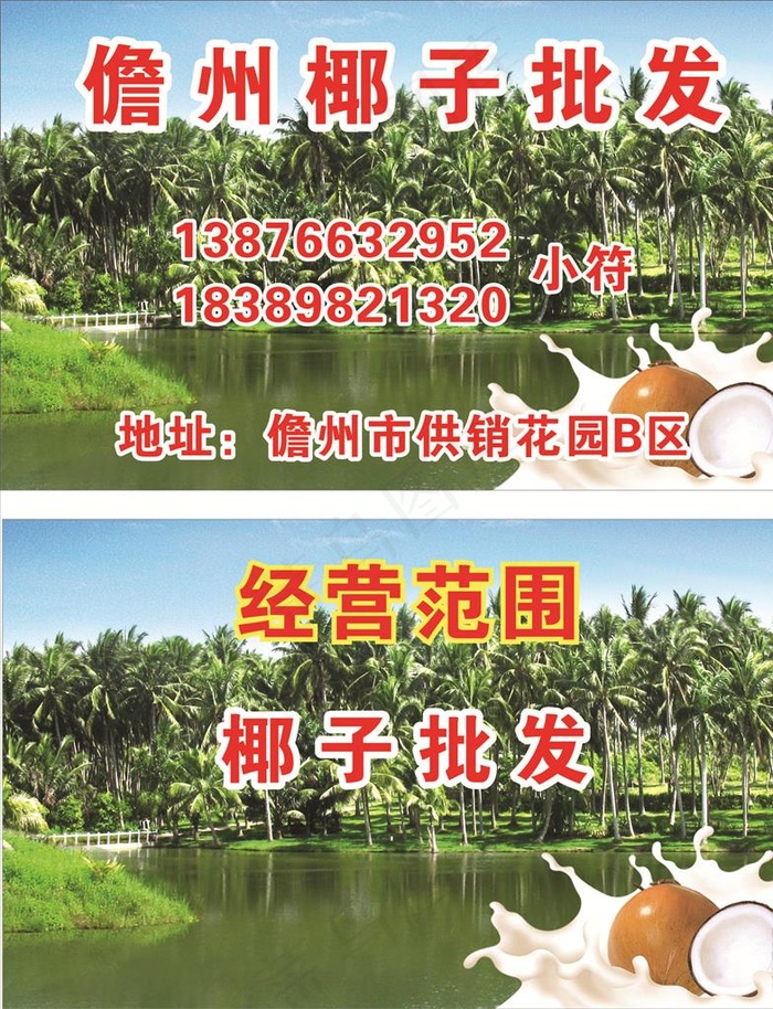 椰子名片  椰子广告图片