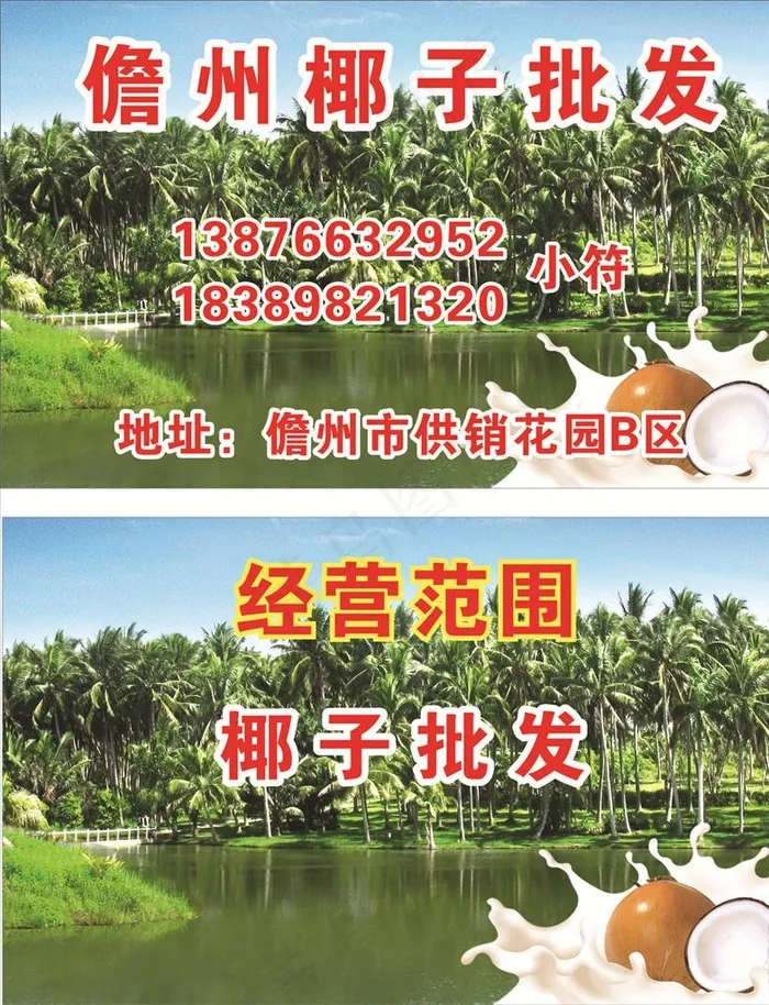 椰子名片  椰子广告图片