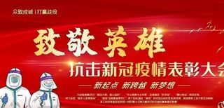 抗击新冠疫情表彰大会图片