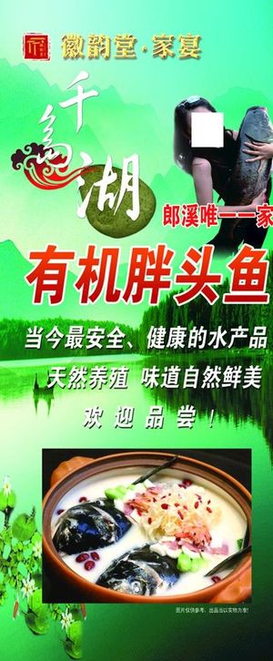 胖头鱼展架图片