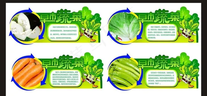 蔬菜知识牌图片