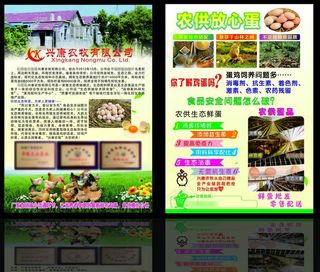 农牧宣传单图片