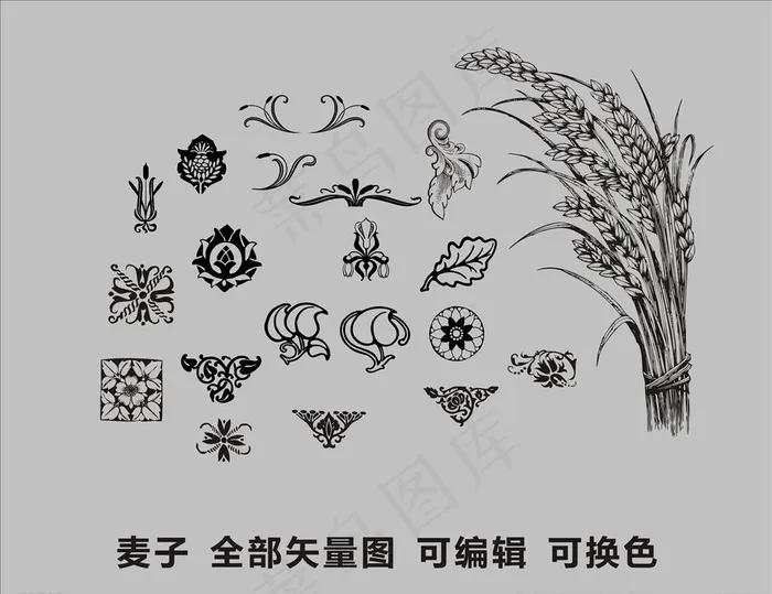 小麦矢量图图片cdr矢量模版下载