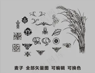 小麦矢量图图片