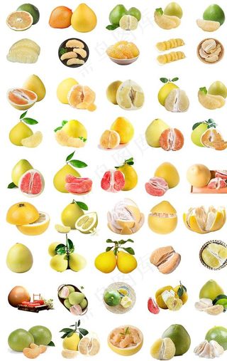 柚子免抠图汇总图片
