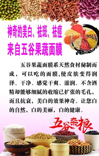 五谷杂粮图片