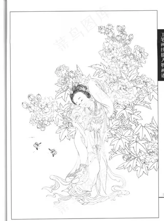 线描仕女图图片