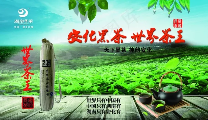 安化黑茶图片(5102X3118(DPI:72))psd模版下载