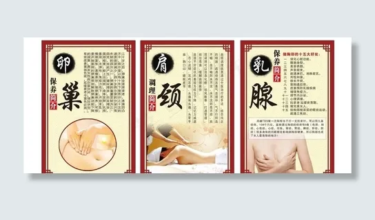 卵巢 肩颈 乳腺图片