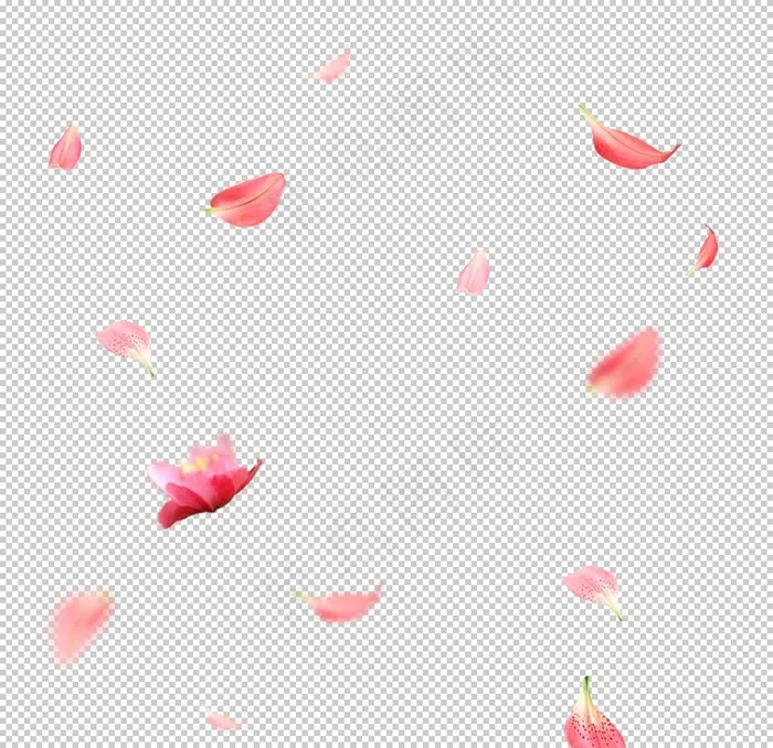 飘落的花瓣图片
