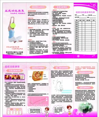 盘底功能康复 4折页图片