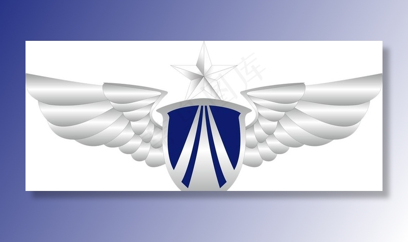 空军矢量胸标图片