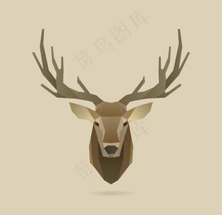 鹿头图片