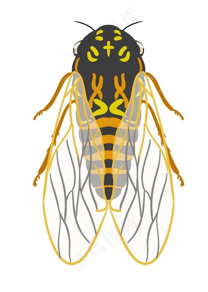 手绘卡通知了蝉昆虫动物插画图片