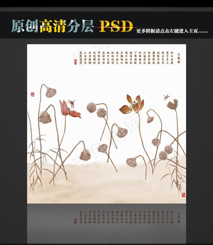 爱莲曲图片