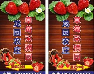 草莓园采摘图片