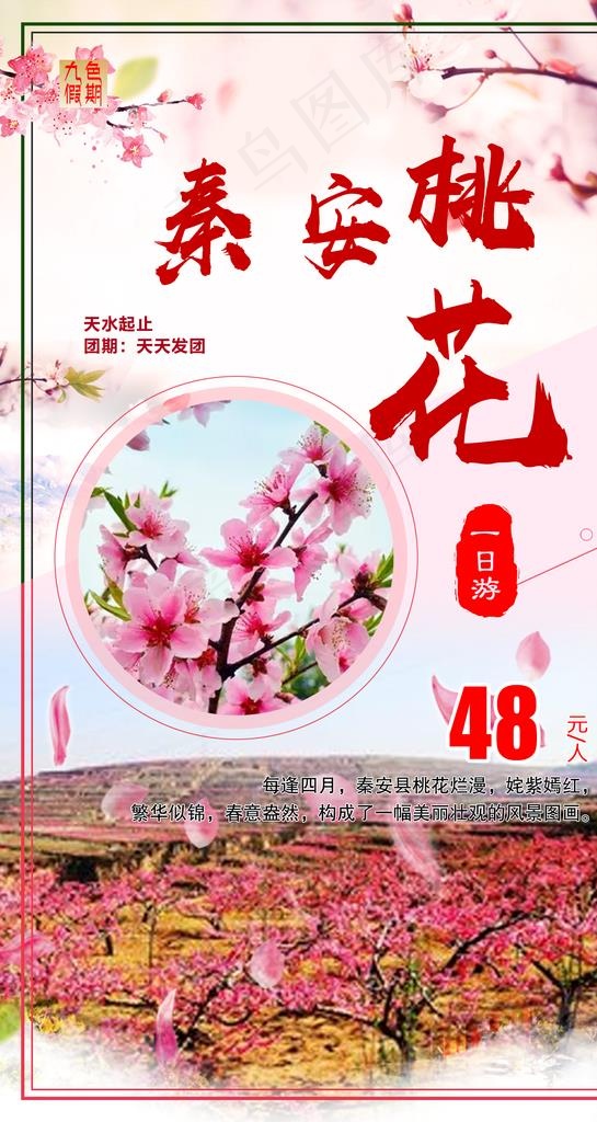 甘肃秦安桃花一日游海报图片(1500X2662(DPI:72))psd模版下载