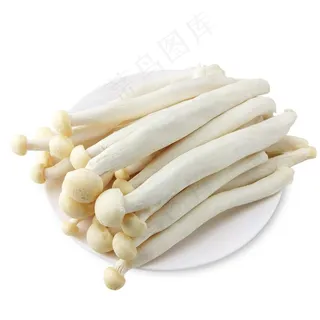 海鲜菇图片 海鲜菇图片